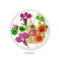 Ertutuyi 3D prekrasan cvijet miješani sušeni cvijeće Nail Art DIY boce manikir dekor
