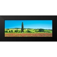 Krahmer, Frank Black Moderni uokvireni muzej umjetnički print pod nazivom - Cypress u polju, Toskana,