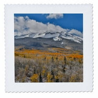 Jesenski aspens i snijeg na keebler pass, stjenovita planina, Kolorado Quarte QS-278827-2