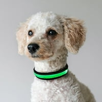 Wisfunllly LED užareni ovratnik za pse punjivi, noć osvijetljeni sigurnosni ogrlice za kućne ljubimce