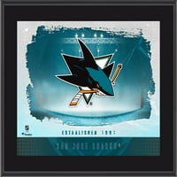 San Jose Sharks fanatic autentičan 10,5 13 sublimirani horizontalni logo Timske ploče