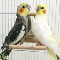 Ptice ogledalo igračke papagane viseći traku za ljuljanje drvenih postolja za kućnog ljubimca