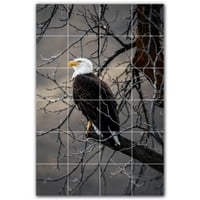Picture-Tiles.com: Zidni zidni zidni filmove za pticu WAL500184-46S. 17 W 25.5 H Korištenje 4,25 4,25