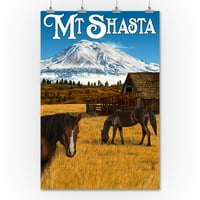 Mt. Shasta Pogled i konji