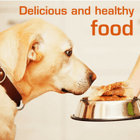 HealthyBones RawHide Besplatna zdrava hrana za turniru i ostale male mješovite pasmine psi Pileći zamotani