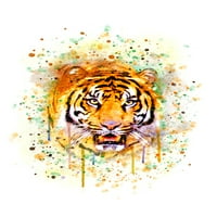 Tiger, akvarel