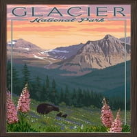 Nacionalni park Glacier, Montana - Medvjedi i proljetno cvijeće - planine - umjetnička djela sa fenjerom