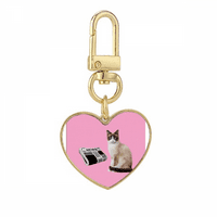 CAT Pročitajte tijelo uvijanja umjetnosti deco modni zlatni srčani ključ za ključeve