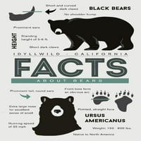Idyllwild, Kalifornija, Činjenice o crnim medvjedima