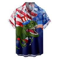 Fraigo Muške djece smiješne havajske košulje 3D grafički gumb niz kratki rukav USA 4. jula Tropska kuća