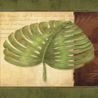 Palmop tropska ploča IV Poster Print od Delphine Corbin