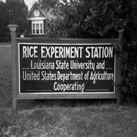 Znak eksperimentirativne stanice u Louisiani Čita Univerzitet u Louisiani i Odjelu za poljoprivredu