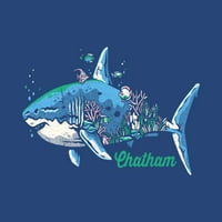 Chatham, Massachusetts, morski pas, uznemiren vektor