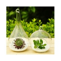 Hemoton Stvorite osvježavajući prozirni viseći stakleni sastavni dio Terrarium vaze Početna Dekor