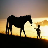 Havaji, silueta dječaka vodeći konj duž travnatog padina na suncu. Print plakata