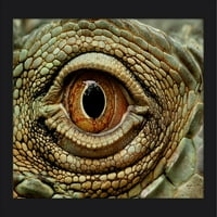 Reptile Eye - fotografija preša sa fenjerom