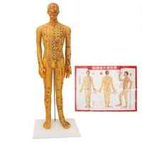 Model akupunkture ljudskog tijela, precizan položaj MAN graviranje akuputantnog manekenka za praksu