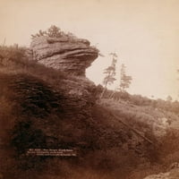 Ispis: Glava žabe. Na starom cestom mrtve strane, 1890