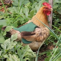 SHLDYBC pileće sedlo za kokoši pileća pregača sa elastičnom kaišom pilećim jaknom kaiševi za zaštitu