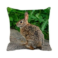 VerPetridure Uskrsni posteljina jastuk za pokrov uzorka zečjeg poklopca