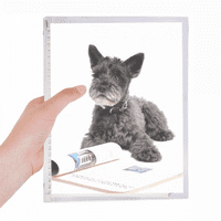 Pas Pet za životinje Fotografije Slike Notebook Labavi dnevnik Repucable Domaćin