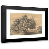 Thomas Hearne crna moderna uokvirena muzejska umjetnost tisak pod nazivom - Kestensko drvo u Little Wymondleyu, Hertfordshire