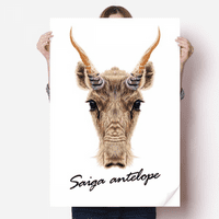 Brown Saiga Antelope naljepnica za naljepnice za životinje Poster Playbill Wallpaper Prozor naljepnica