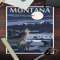 Montana, dolina scena noću s vukovima