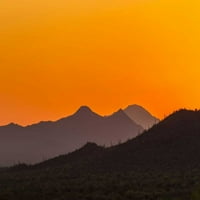 Arizona, Saguaro NP Tucson Planine na zalasku sunca Cathy - Gordon Illg