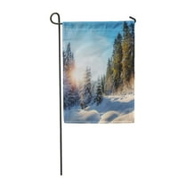 Edmonton Divan zimski pejzažni savršeni nebo na sunčanoj dnevnoj planinskoj vrtu zastava u dekorativnoj