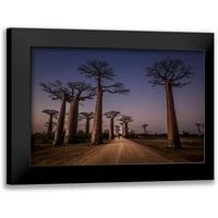 Tagliano, Marco Black Moderni uokvireni muzej umjetnički print naslovljen - Allace des baobabs