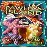 Pawleys Island, Južna Karolina, morske školjke