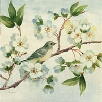 Cherry Bloom Bird II Poster Print Pamela Gladbas