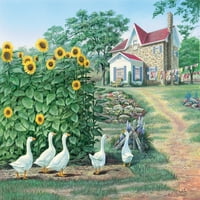 Vrtna staza - guske i suncokrete Poster Print John Bindon