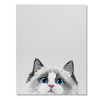 Platno printova Art Poster, Životinjska bijela Srebrna Point Ragdoll Cat, pokloni Zidni ukras Platneni